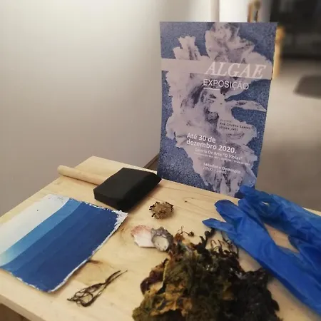 O Violas - Art Coffee &