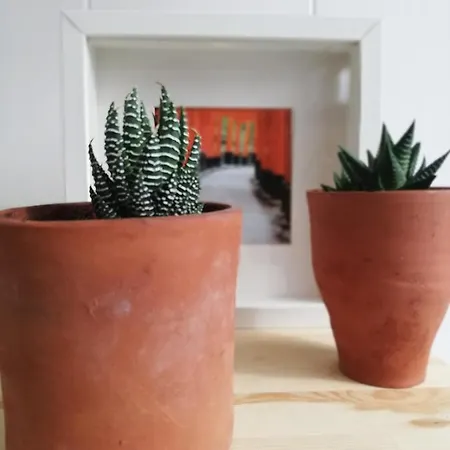 Maison d'hôtes O Violas - Art Coffee & Praia de Mira