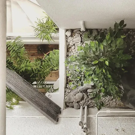 Gæstehus O Violas - Art Coffee & 3*