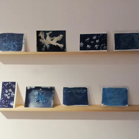 O Violas - Art Coffee & Praia de Mira