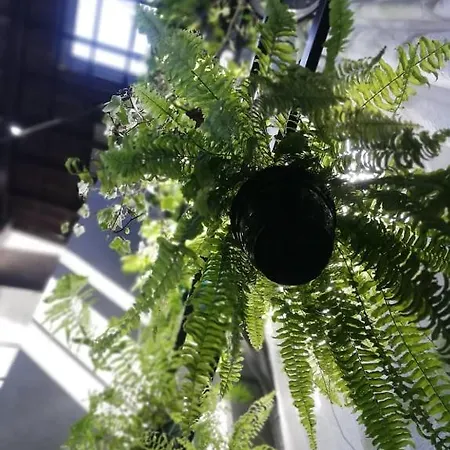 Maison d'hôtes O Violas - Art Coffee &