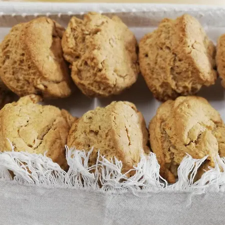 O Violas - Art Coffee & 3* Praia de Mira