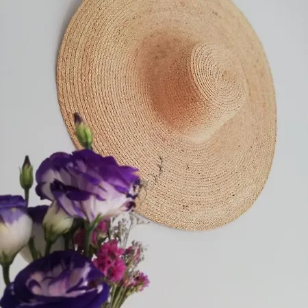 O Violas - Art Coffee & 3* Praia de Mira