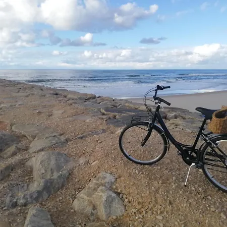 O Violas - Art Coffee & 3*