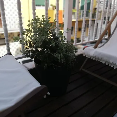 O Violas - Art Coffee &