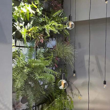 Maison d'hôtes O Violas - Art Coffee & Praia de Mira