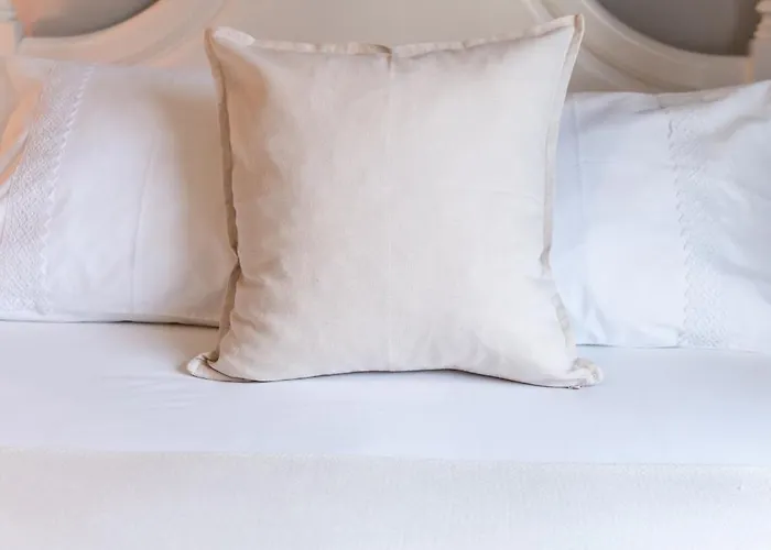 O Violas - Art Coffee &