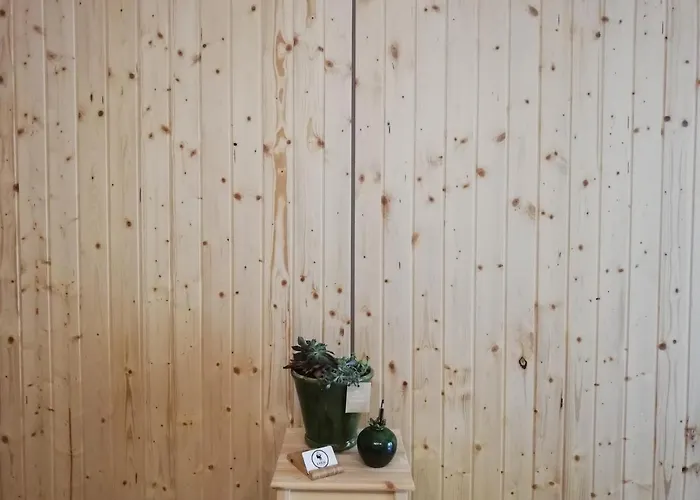 Pensjonat O Violas - Art Coffee & 3*